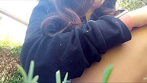 I can't believe what I see in the public park.