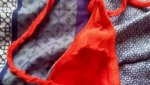 leche en las tangas de mi cuñada me excita