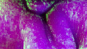 Utah James Destroys Pussy With Huge Cock In Horny Slut Action