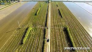 check out this latina with huge tits getting slammed on the terrace!