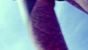 Tattooed slut with pierced pussy gets anal fucked outdoors