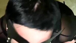 playful kitty like, um, loves mouth and ass banging