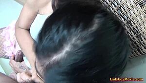 Amateur Ladyboy Sherry Blows and Jerks in Fishnets with Pure Asian Heat