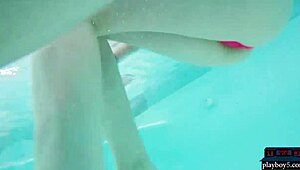 Amateur Girlfriends Enjoy Poolside Fun