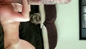 i love watching this rough bbw compilation of hardcore amateur sex scenes