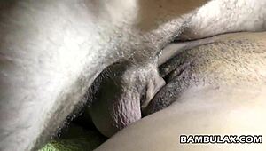 ebony girlfriend takes big white cock 😍