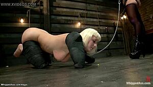 I get waxed and caned as a blonde lesbian, submitting to that bdsm anal play.