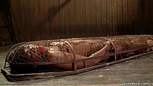 Ebony bound in back arch with choking and gagging