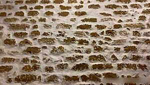 fucking big dick compilation featuring tommy cabrio and apolonia lapiedra.