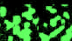 Sheila Daniels moans as Doctor Tampa uses the Hitachi wand on her pussy during the college physical.