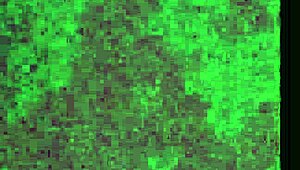 my slut wife terrah fuckin a big dick white trick, poor quality tho