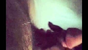 my slut wife terrah fuckin a big dick white trick, poor quality tho