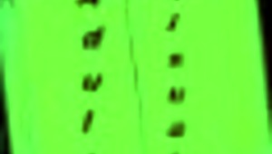 Echoes of Lust 15: Hentai Milf Scenes