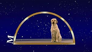 Geile Amateur German Teens 18+ Enjoy Sexy Ass Play In Group Fun