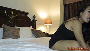 Ts Amy Amour Surprises Bf with a Steamy Thai Blowjob Under Skirt.