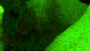 Amateur german experiences intense body contractions