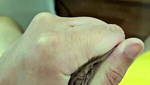 Minha Nova Cueca Amarela