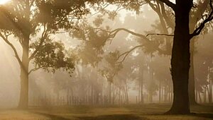 come see my girlfriend squirt on a monster cock at the farm