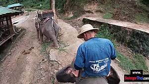 amateur teen couple fucks after elephant ride in thailand