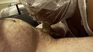 Bag on her head black bitch pukes on small dick