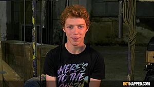 twinks avery monroe and alex faux fucked hard by hung daddy in bondage