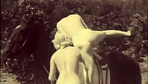 dark lantern presents vintage hairy beaver beauty