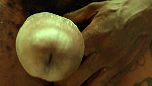 मैं अपना ह्यूज बीबीसी रोक नहीं सकता, हेल्लूजाह जॉनसन, ओप्स!