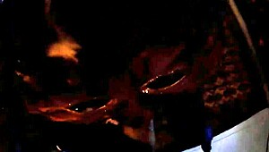 risky blowjob on big cock with amateurs 😏💦