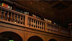 amateur teen with big tits and ass gives blowjob before getting fucked by big cock