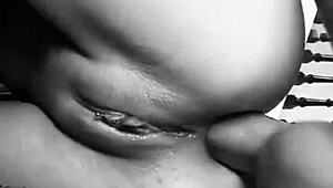 नोविन्हा गुएंटा पिका नो कु फॉर रॉ एनल ऑर्गेज्म विथ रोजावर्मेल्हा