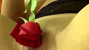 Ninfetinha lina nakamura masturbates with toys and shows off her cute feet