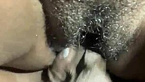 Ebony Couple's Intense Breeding Session with Monster Cock Creampie