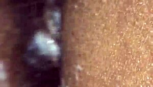 COCOSPICE Outdoor PARTY Adventures