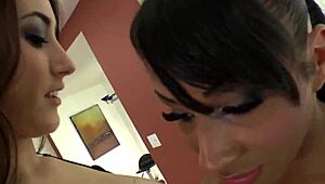 What happens when Shemaleidolz 60 brings ebony tgirls into wild group action?