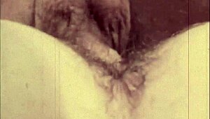 passion in vintage close-ups