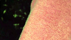 Hey, check out this gay mischief in a dark room box revealing many pleasures.