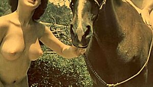 vintage taboo pussy, wanna see my pooch bent over?