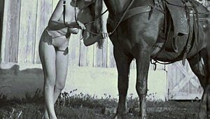 vintage taboo pussy, wanna see my pooch bent over?