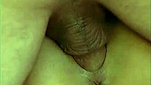 lovely beauties in exhibitionists 1 strip down for eager men