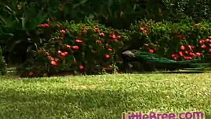 i watch this little amateur rubbing her pussy, little bree turns me on