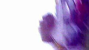 what's up with these fat bbw prostitutes at home?