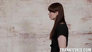 stay gold with khloe kay, natalie mars, adriana chechik in wild transexual threesome