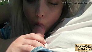 Damn, Czech babe Katy Rose got banged in a car! Public action is crazy! 🚗