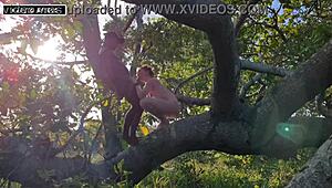 Rota Sex Si Oferese Para Macho Dotado!