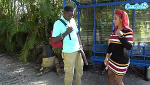 बिग ब्लैक लंड पब्लिक बस स्टॉप पर फ्लैश, सब शॉक्ड