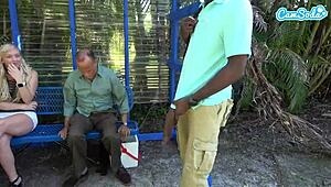 बिग ब्लैक लंड पब्लिक बस स्टॉप पर फ्लैश, सब शॉक्ड