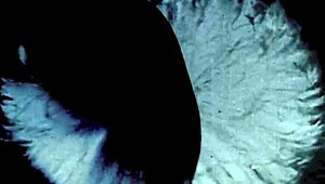 Wild vintage step sister fantasy comes alive, oh yes!