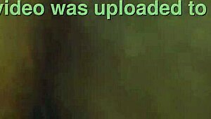 chubby fox gets bent over for morning assfucking