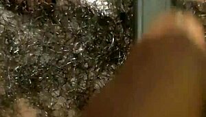 Oski fucks his hairy milf wife wet, she moans.