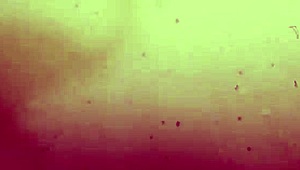 in jujutsu kaisen second season, the characters get into some wild hentai action